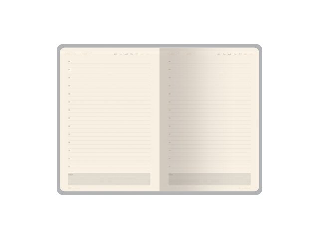 Ежедневник недатированный А5 "Status", красный