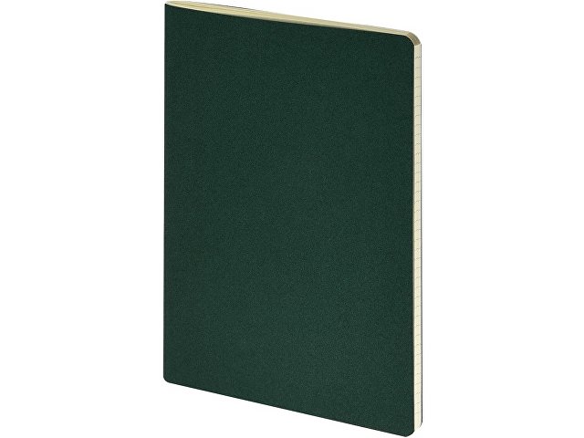 Бизнес-тетрадь А4 "Pragmatic",  40л., клетка, зеленый