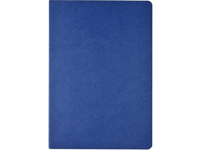 Бизнес-тетрадь А4 "Pragmatic",  40л., клетка, синий