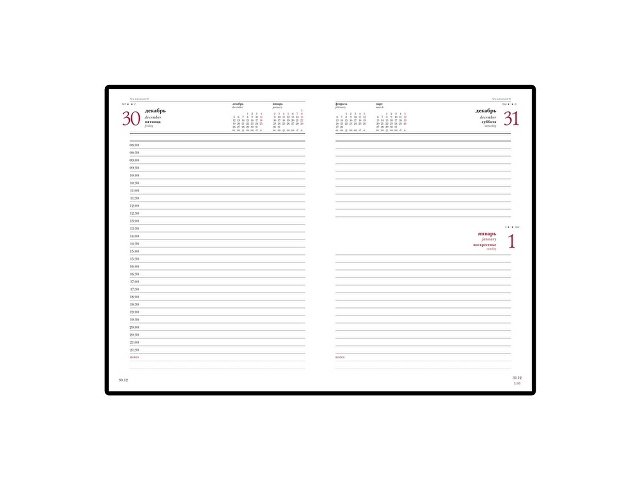 Ежедневник датированный А5 «Ideal New» 2025, коричневый