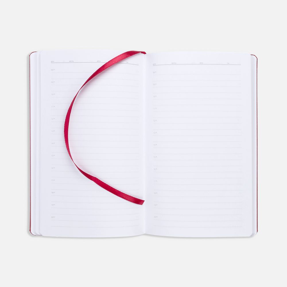 Ежедневник Nova Metal, недатированный, красный