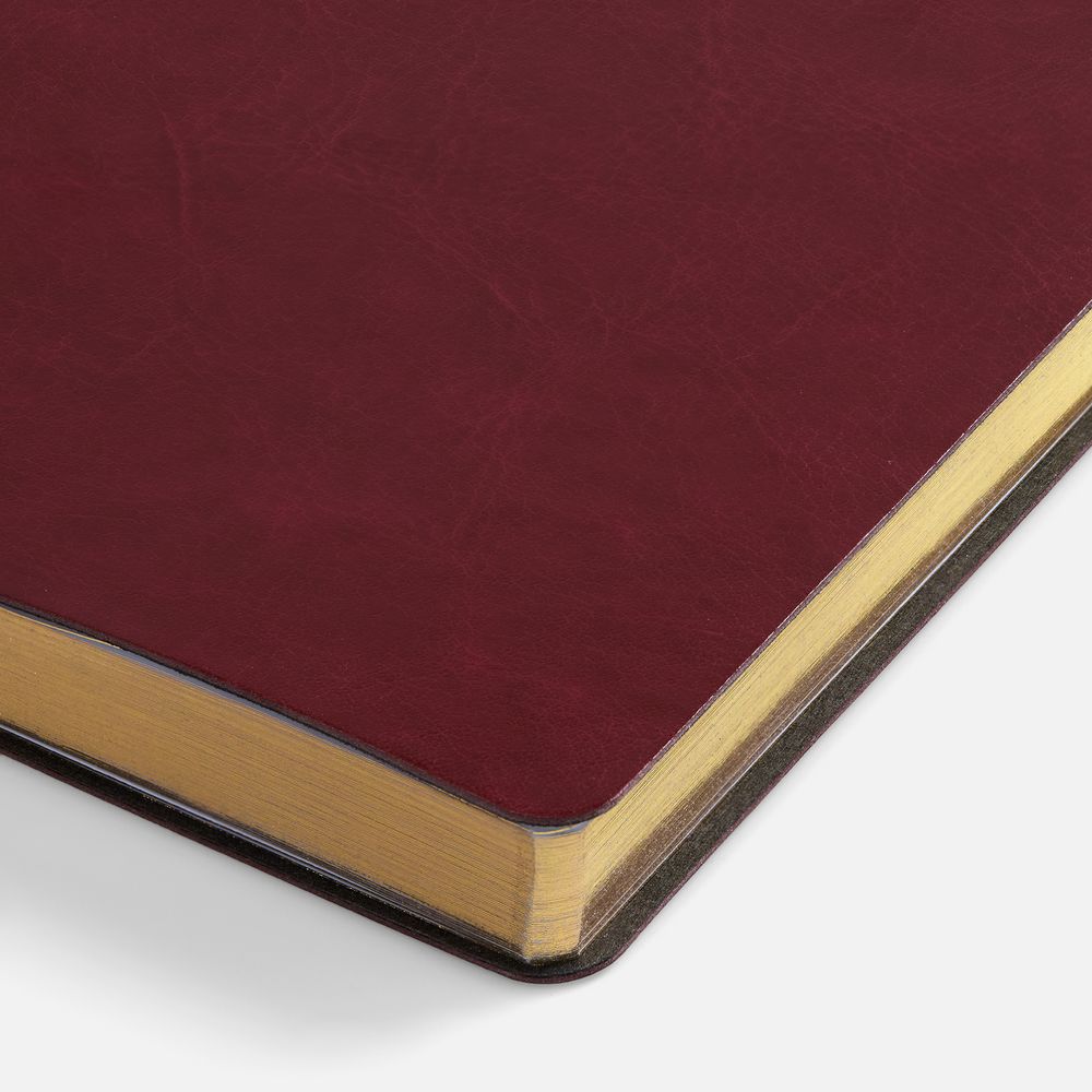Ежедневник Nebraska Flex, недатированный, бордовый с золотистым
