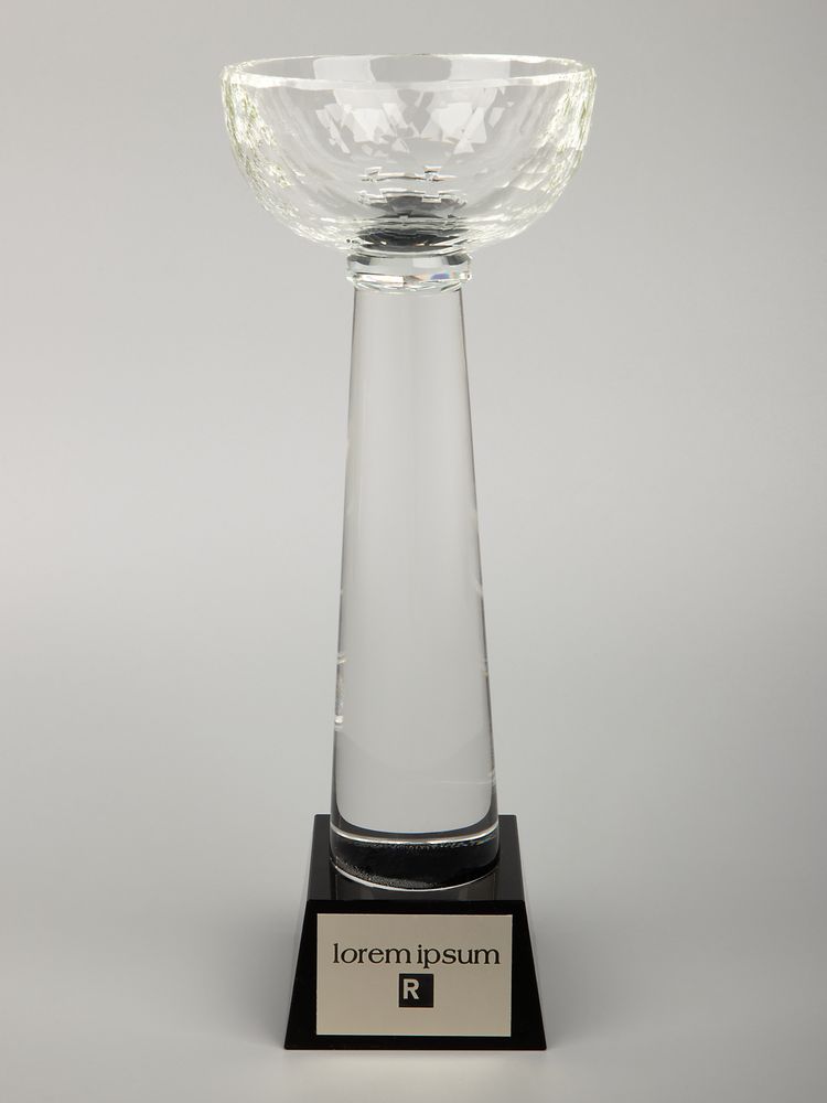 Кубок Cupture, большой