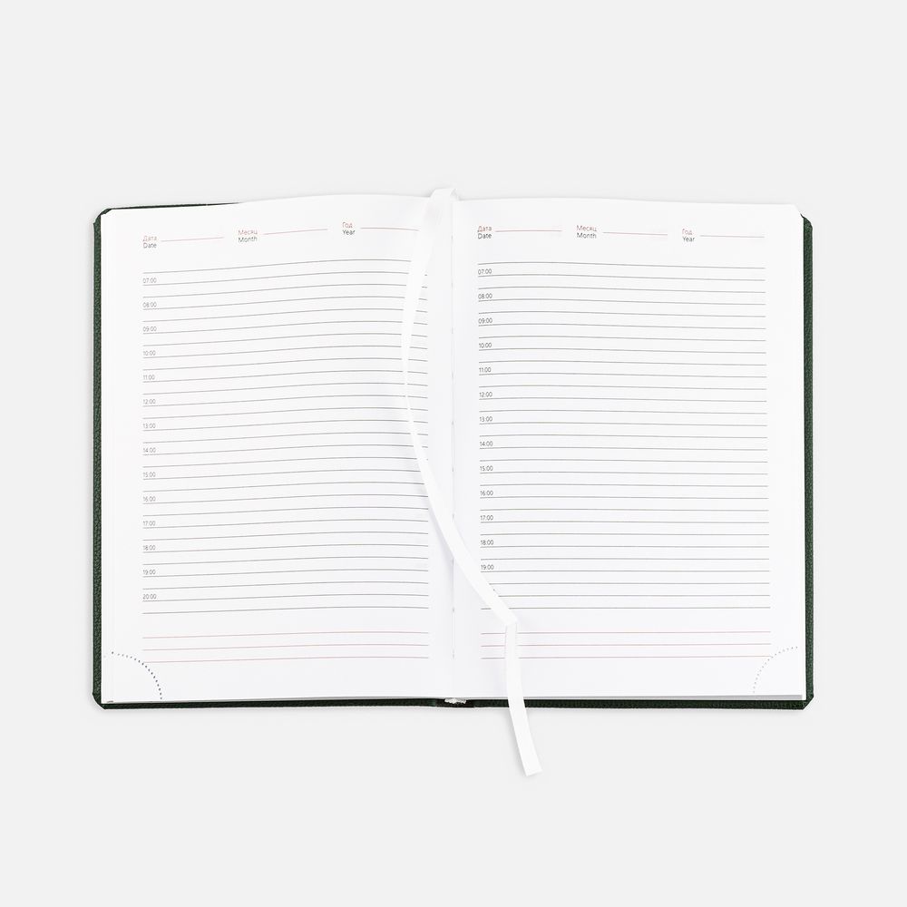 Ежедневник Sagrin, недатированный, зеленый