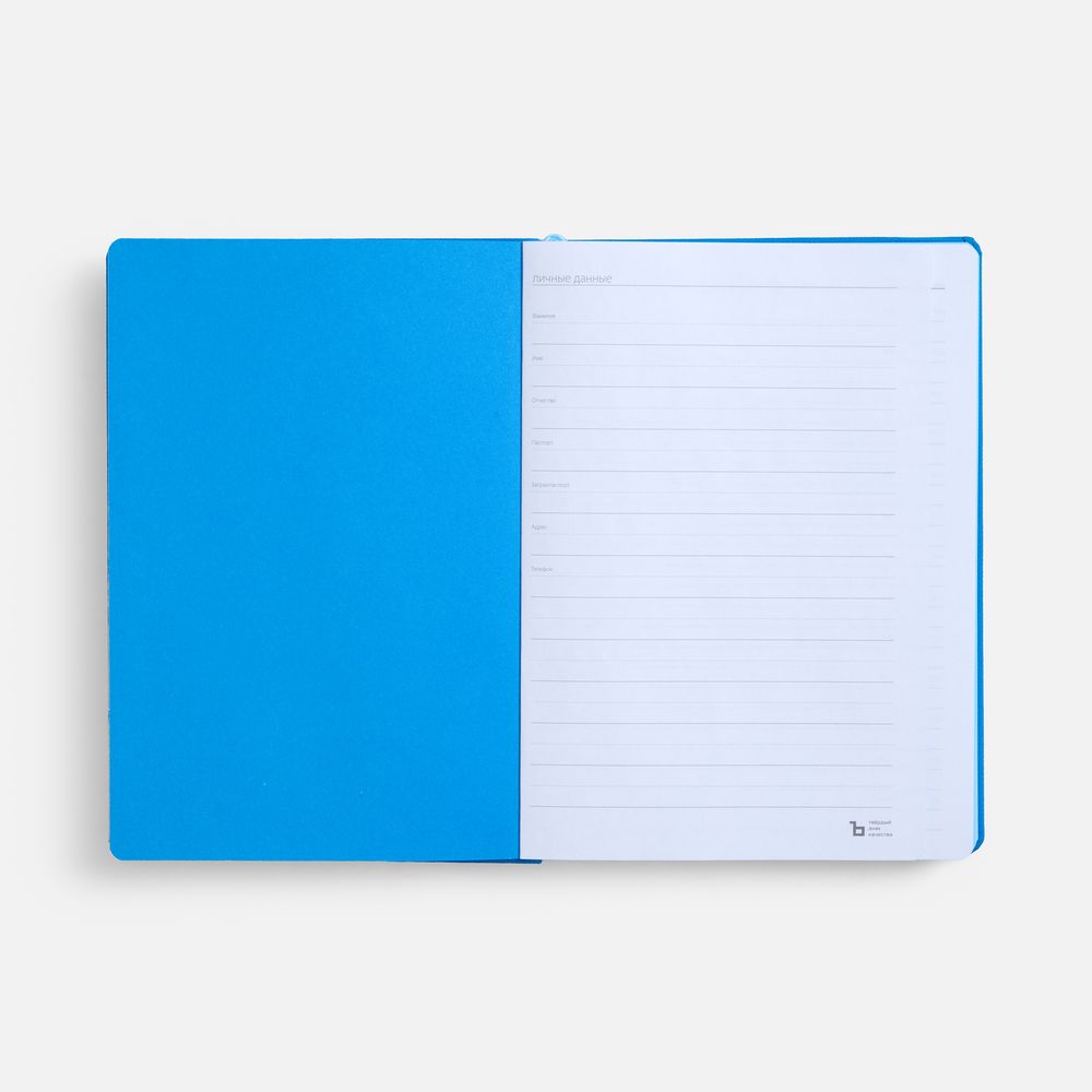 Ежедневник Peel, недатированный, голубой