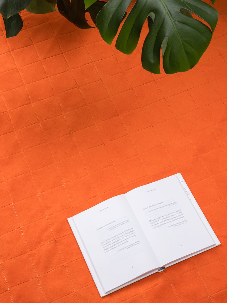 Плед для пикника Soft & Dry 2, оранжевый