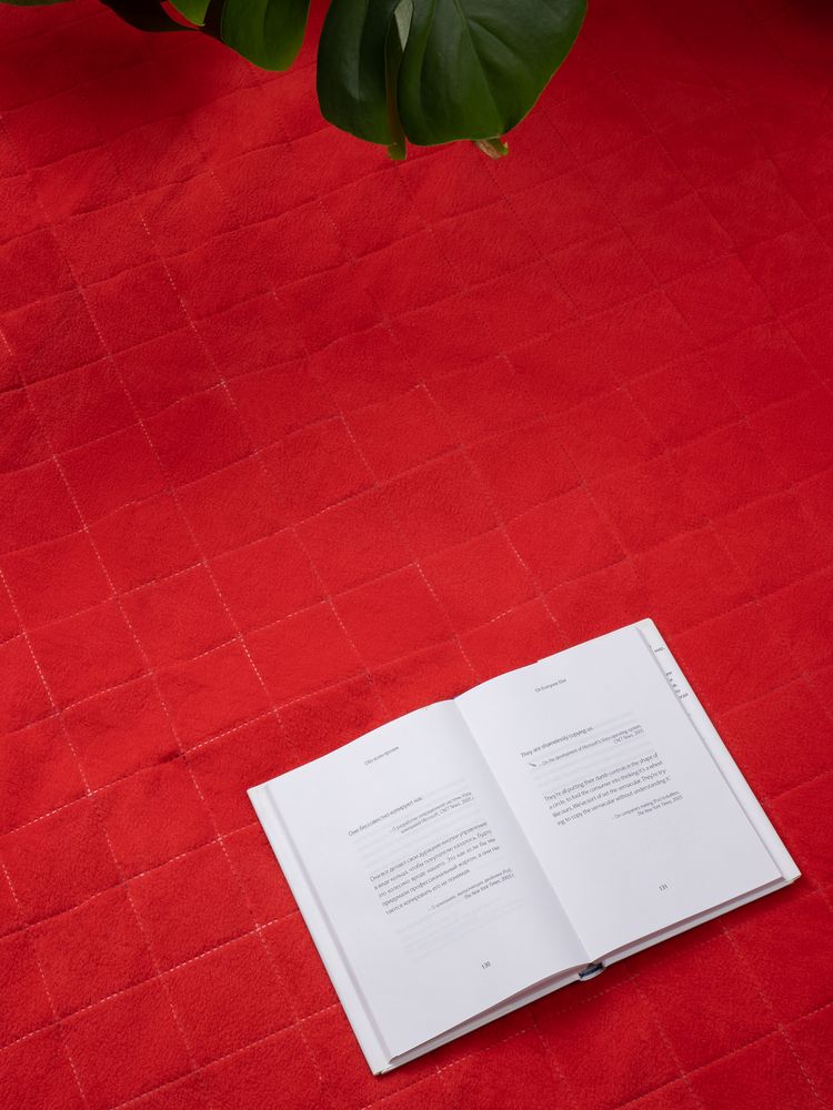 Плед для пикника Soft & Dry 2, красный