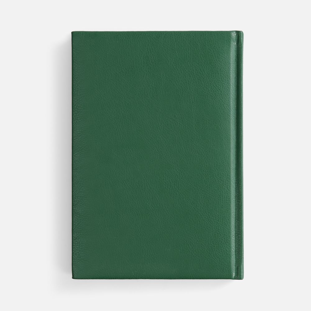 Ежедневник Baza, датированный, зеленый