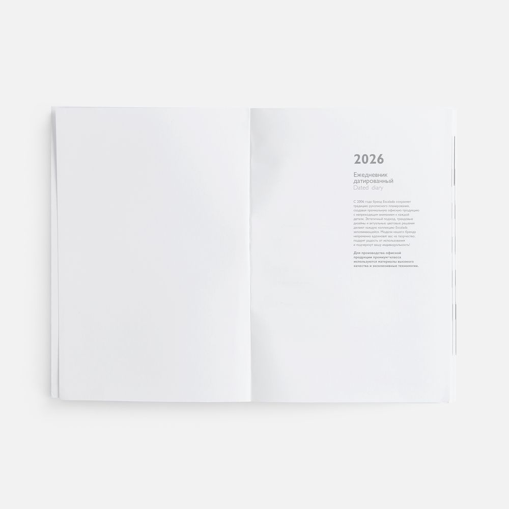 Ежедневник Baza, датированный, синий