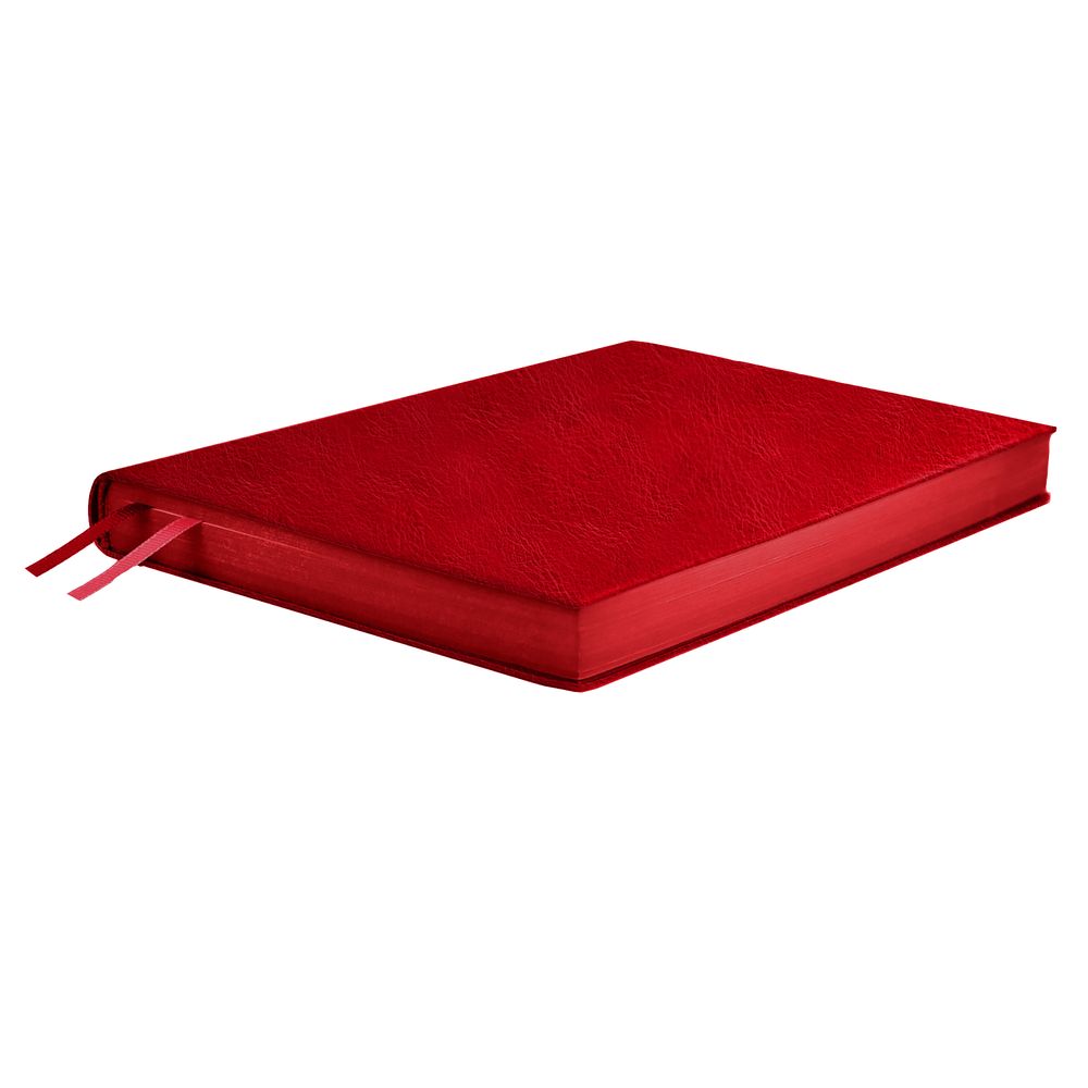 Ежедневник Merida, датированный, красный