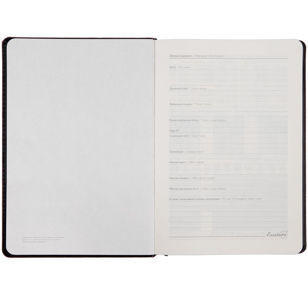 Ежедневник Alanis, недатированный, черный с фиолетовым