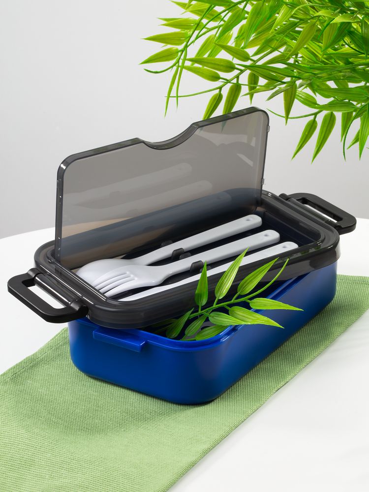 Ланчбокс Pranzo, синий с черным