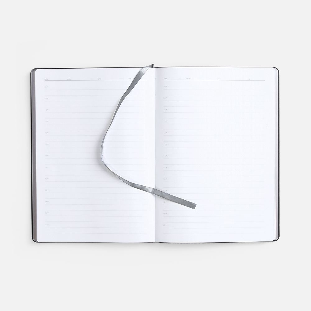 Ежедневник Nebraska Flex, недатированный, ver. 2, серебристый