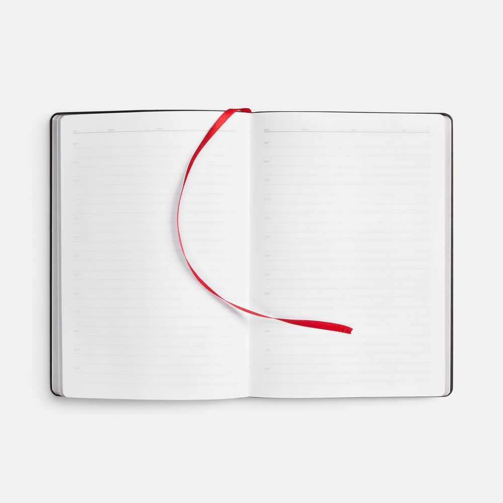 Ежедневник Nebraska Flex, недатированный, красный с серебристым