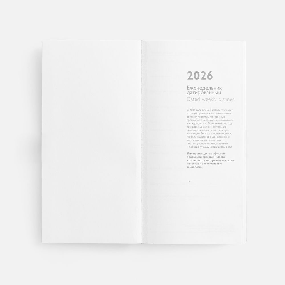 Еженедельник Baza, датированный, зеленый