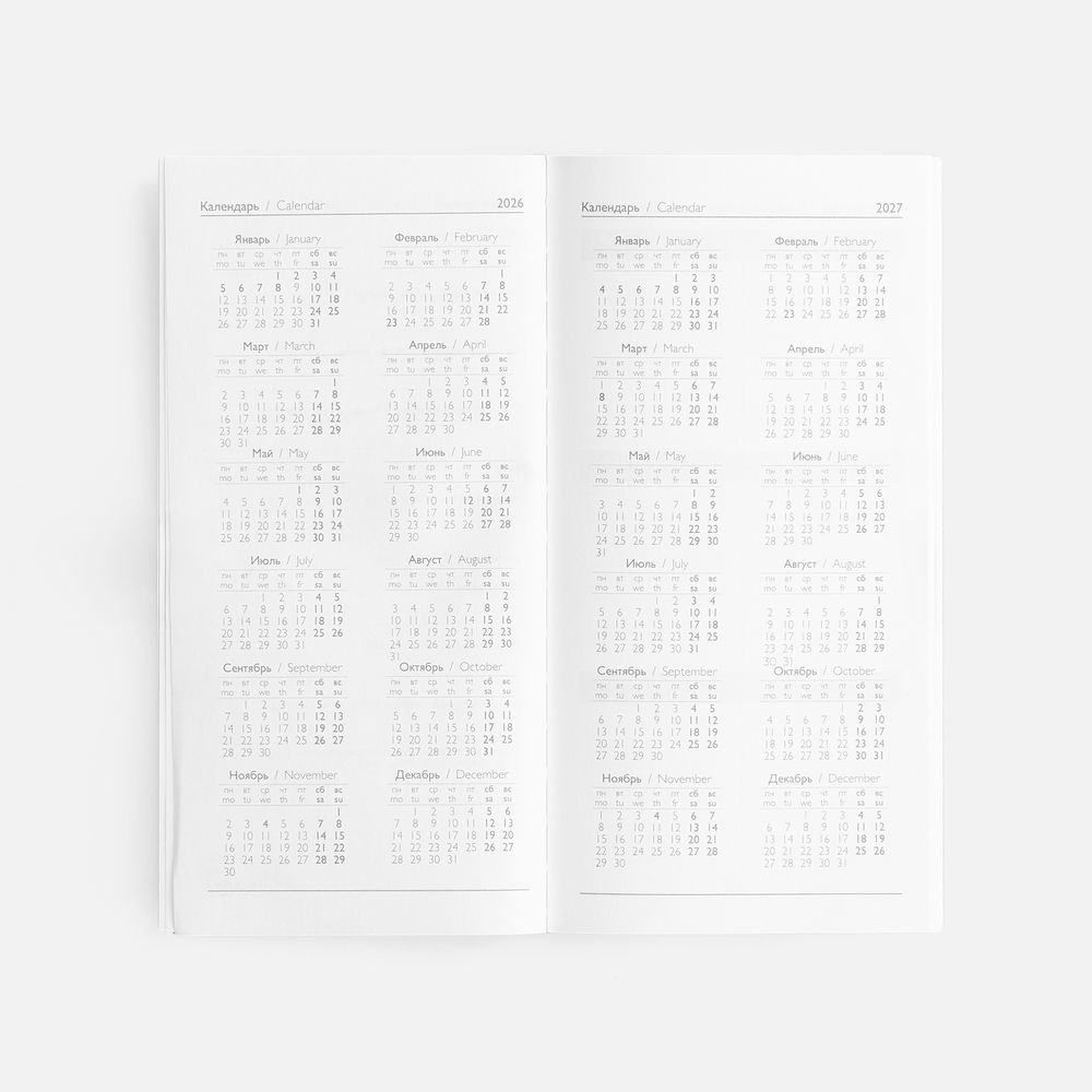 Еженедельник Baza, датированный, серый