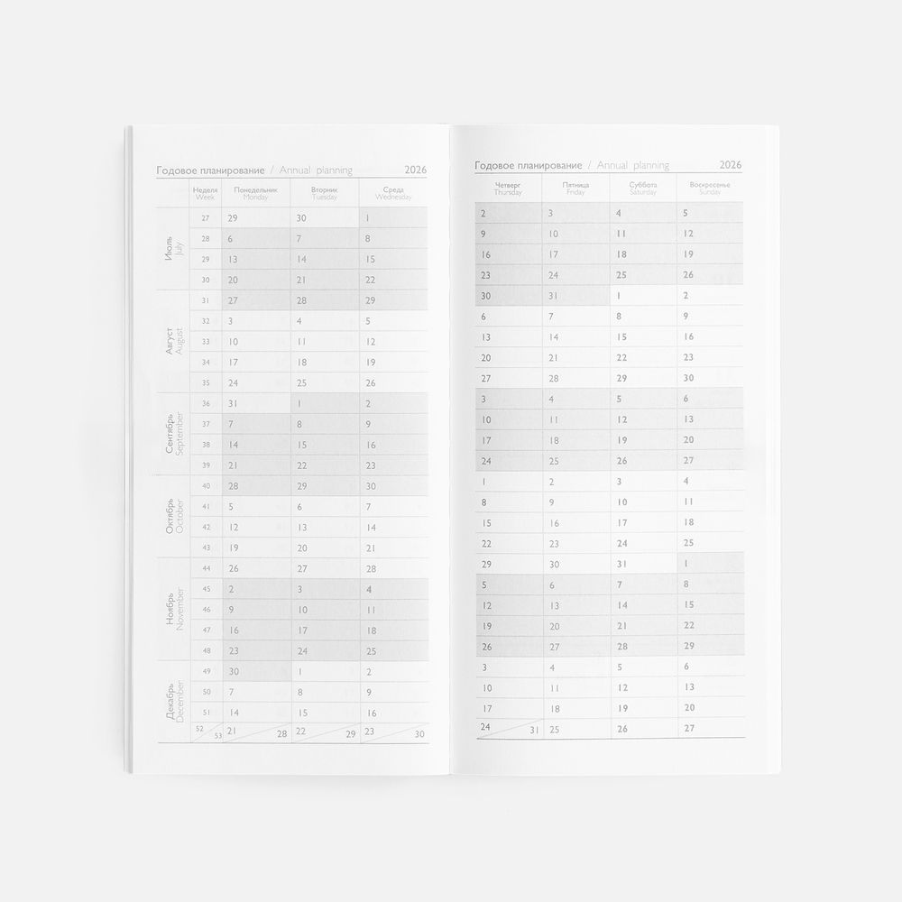 Еженедельник Baza, датированный, серый