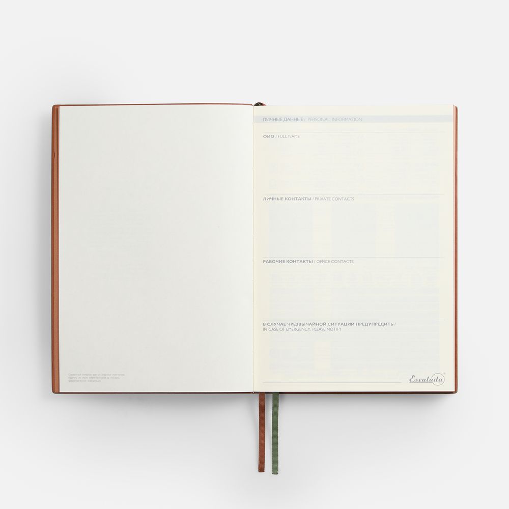 Ежедневник Avila, недатированный, зеленый