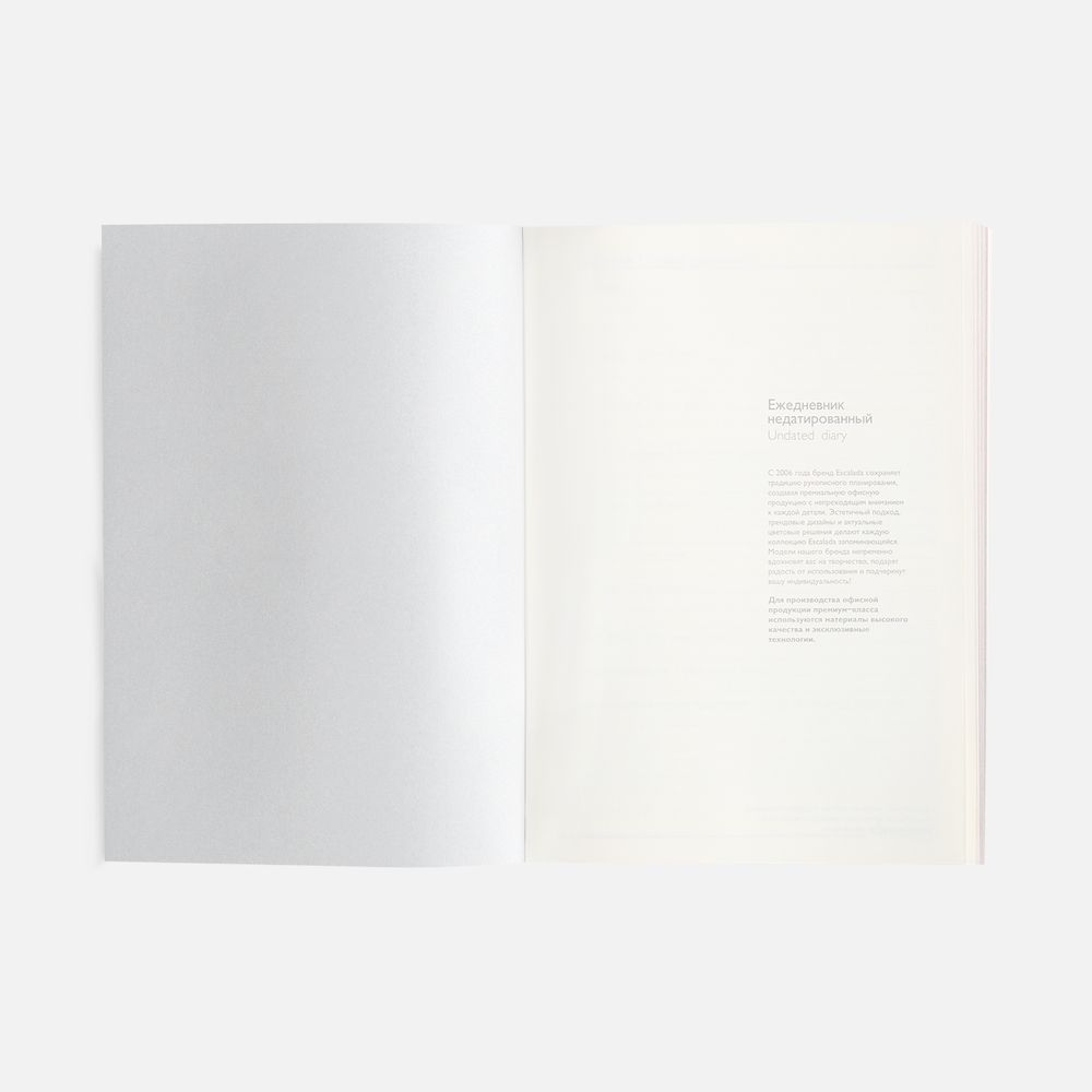 Ежедневник Repute, недатированный, синий