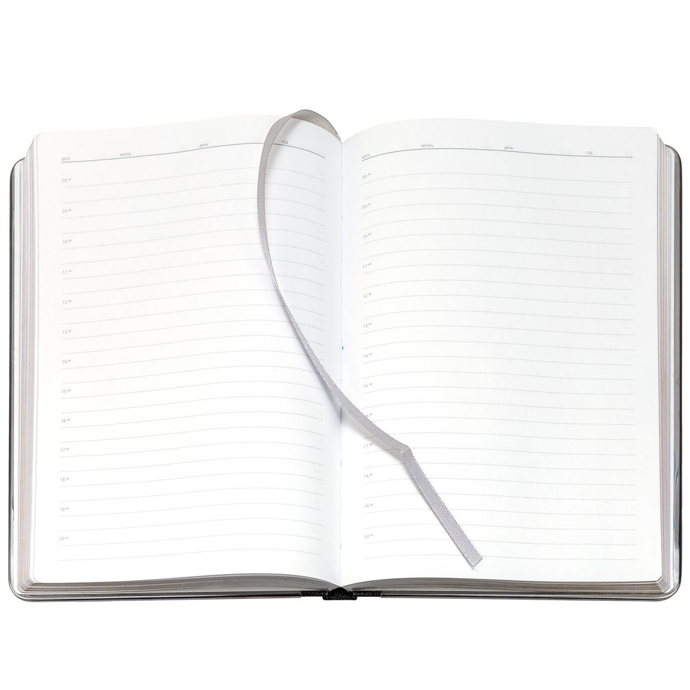 Ежедневник Frame Metal, недатированный, серый