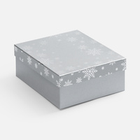 Коробка Wintry, серебристая