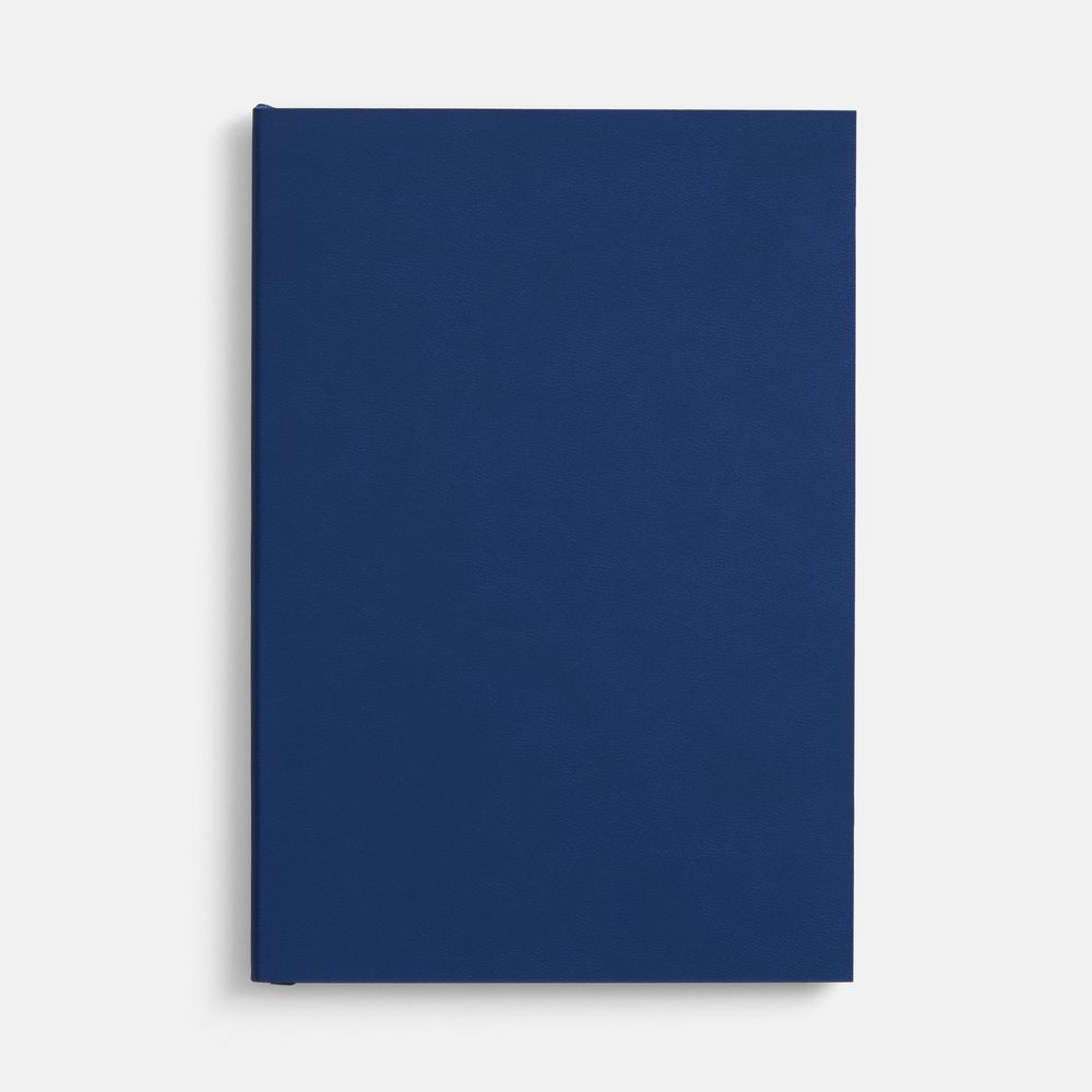 Ежедневник Flat, недатированный, синий, ver.2