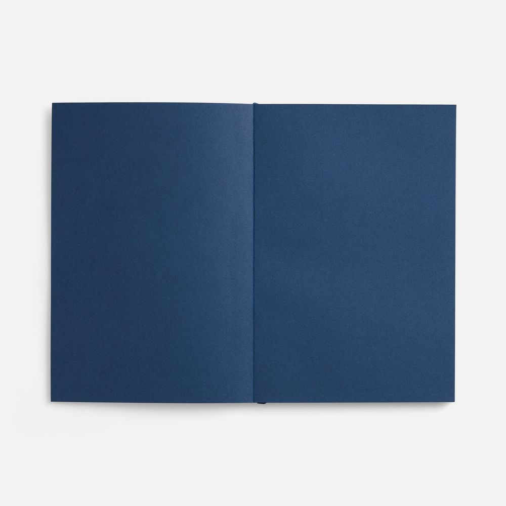 Ежедневник Flat, недатированный, синий, ver.2