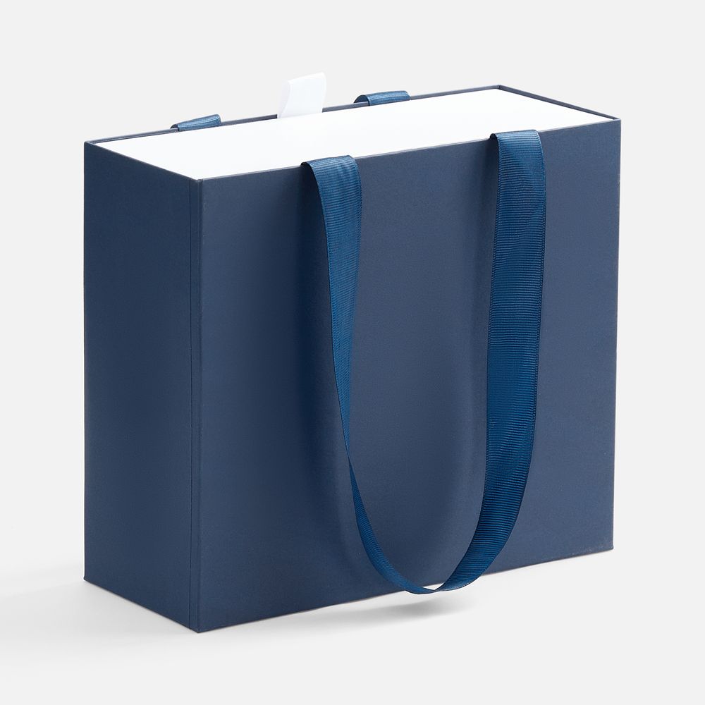 Коробка Regalis, M, синяя