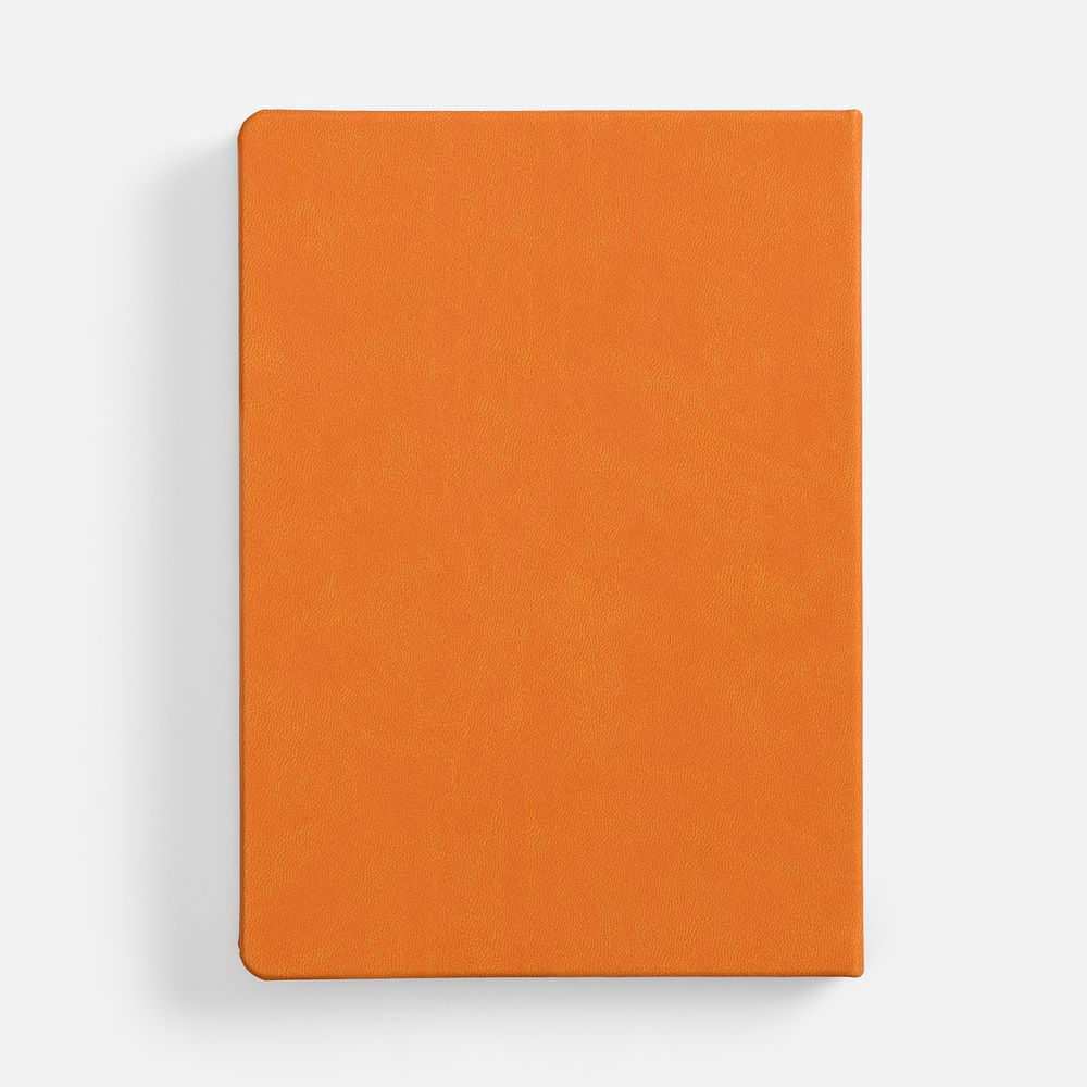 Ежедневник Basis, датированный, оранжевый