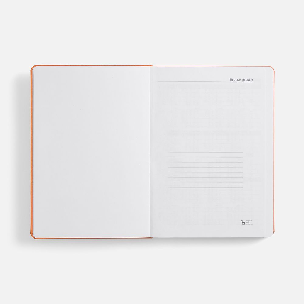 Ежедневник Basis, датированный, оранжевый