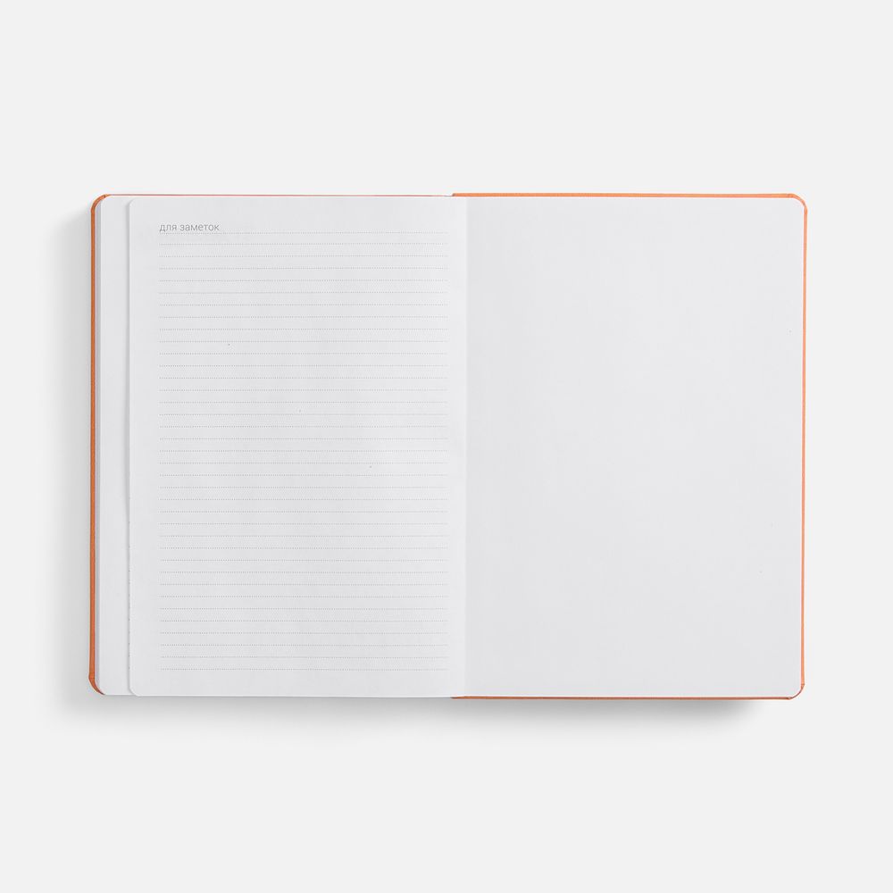 Ежедневник Basis, датированный, оранжевый