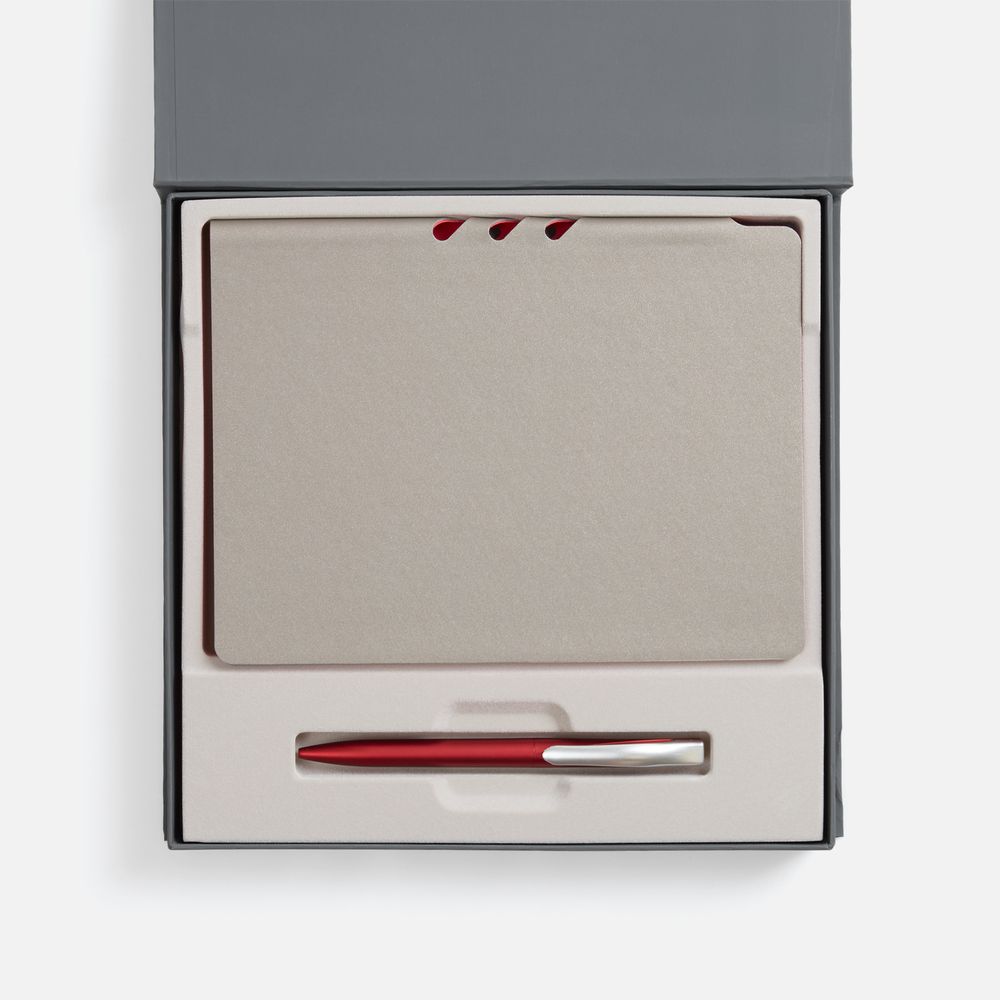 Набор Flexpen Grey, красный